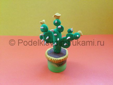 Cactus din plastilină