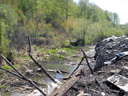 Як вбивають річку курка