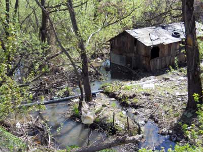 Як вбивають річку курка