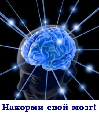 Як поліпшити пам'ять і увагу або що любить наш мозок