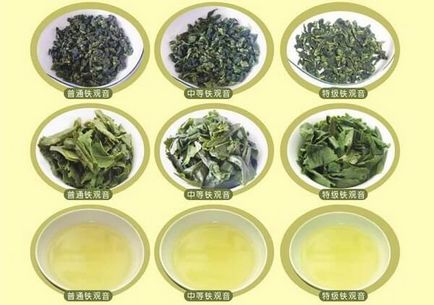 Як вибрати якісний і свіжий чай тігуанінь