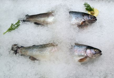 Як вибрати рибу - другі страви