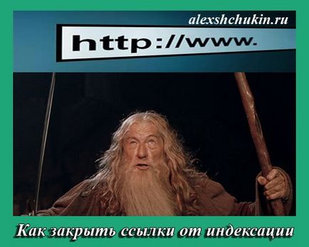 Cum de a închide legăturile de la indexarea pe blogul wordpress, blogul lui Alexey Shchukin