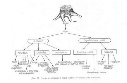 производство колофон