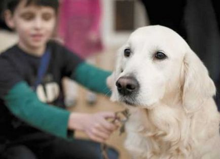 Canistherapy kutya kezelik az emberek - a magazin online alkalmazás - bayanay