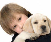 Каністерапія собаки лікують людей - інтернет-додаток журналу - байанай