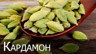 Cardamom pentru revizuirea pierderii in greutate, retete