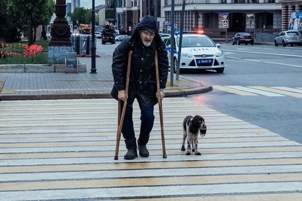 Kazanfirst - німецькі зоозахисники навчать казанців бездомних собак і кішок любити