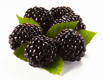 Ce face visul de blackberry?