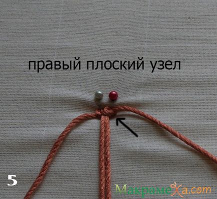 Macrame clasice de țestoase - clasă - master - articole și modele