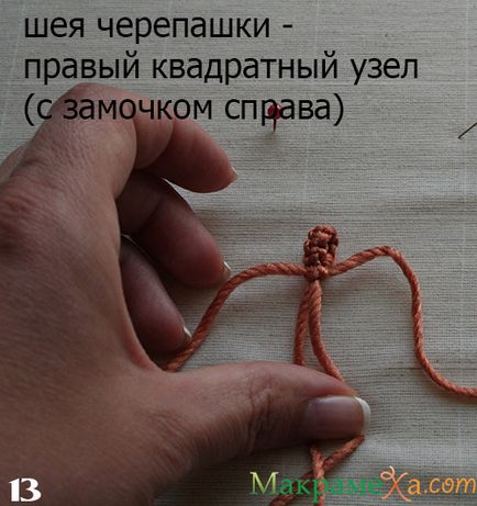 Macrame clasice de țestoase - clasă - master - articole și modele