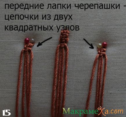 Macrame clasice de țestoase - clasă - master - articole și modele