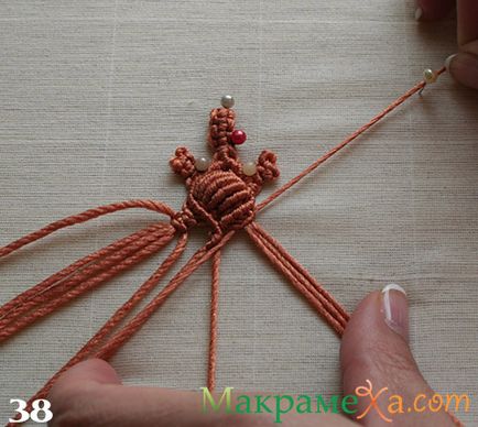 Macrame clasice de țestoase - clasă - master - articole și modele