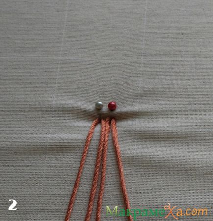 Macrame clasice de țestoase - clasă - master - articole și modele