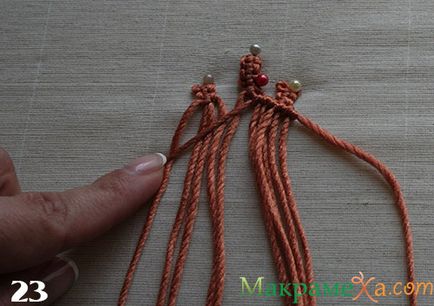 Macrame clasice de țestoase - clasă - master - articole și modele