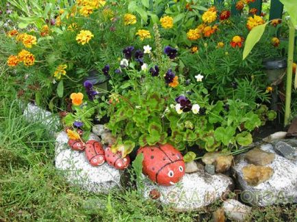 Floare de flori în grădină și la cabană