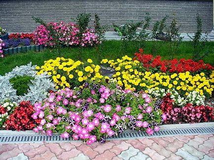 Flori și grădini de flori în țară, flori de primăvară, flori de fotografii, case de vis