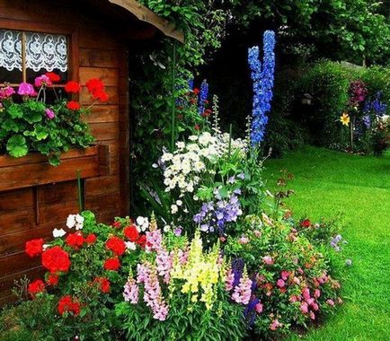 Paturi de flori și flori în țară, flori de primăvară, flori de fotografie, case de vis (paturi de flori) Flori și grădini de flori în țară, flori de primăvară, flori de fotografii, case de vis