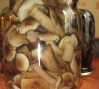 Ciuperci conservate pentru rețeta fotografie de iarnă