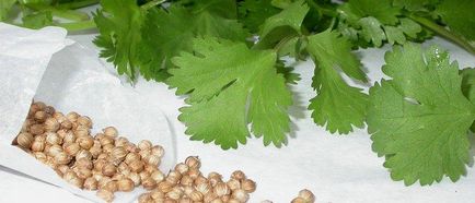 Coriandru, cilantro și rețete de gătit cu diabet zaharat