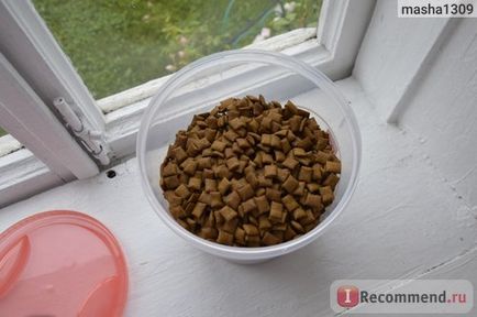 Hrană pentru pisici de peste 12 ani vechi de câine regal 12 - 