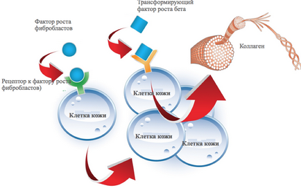 Косметика neocutis - офіційний продавець