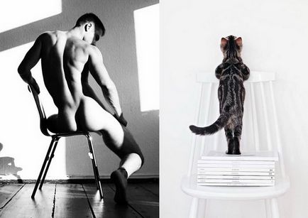 Коти vs чоловіки (ii)