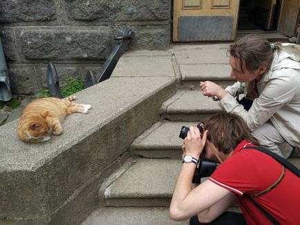 Cat Sir Filimon - un simbol al castelului Vyborg 15 fotografii - xoxo - prelungim viata)