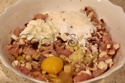 Курячі оладки з грибами - покроковий рецепт з фото, страви з курки
