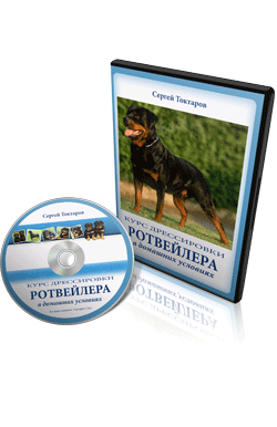 Instruirea Rottweiler la domiciliu