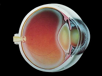 Лікування катаракти очей оперативне, вітаміни, консервативне, вправи