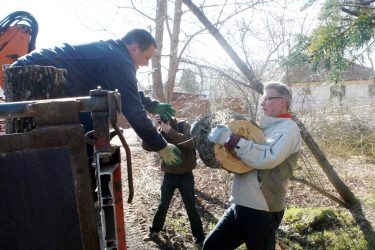 Ленін і колода