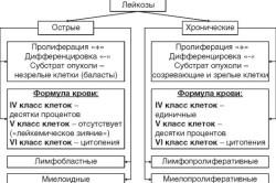 Clasificarea, cauzele, patogeneza și etiologia leucemiei