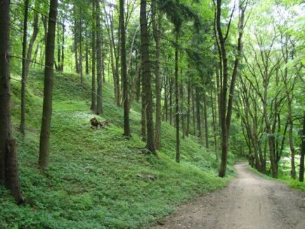 Liberec - o călătorie în munți și nu numai