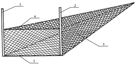 Nonsens de pescuit