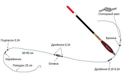 Ловля карася в серпні корисна інформація для любителів риболовлі