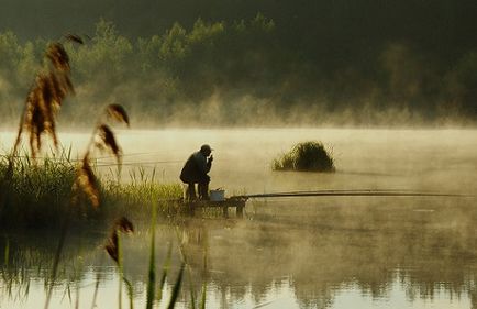 Ловля карася в серпні корисна інформація для любителів риболовлі