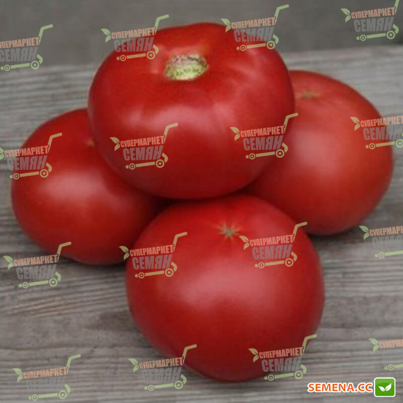 Кращі насіння індетермінантних томатів для другого обороту