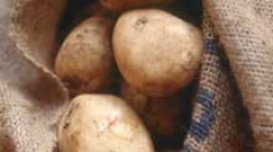 Магніт »прикупив картопля для чіпсів lays, foodnewsweek - продукти харчування, horeca, громадське харчування, апк,