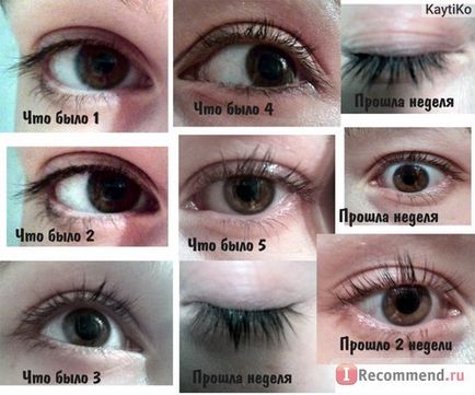 Ricinusolaj - „a la kareprost vagy heti ellenőrzés szempillák (olaj) Ricinusolaj - „a la kareprost vagy a heti ellenőrzés a szempillák