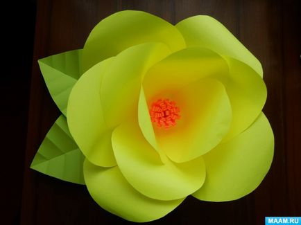 Майстер-клас з виготовлення об'ємних квітів з кольорового офісного паперу