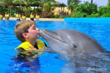 Metoda de terapie cu delfini - terapia cu delfini pentru copii, etapele cheie