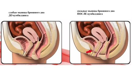 Методика вумбілдінг вправи, картинки, тренажери, miss