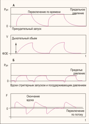 Agresivitatea interspecifică