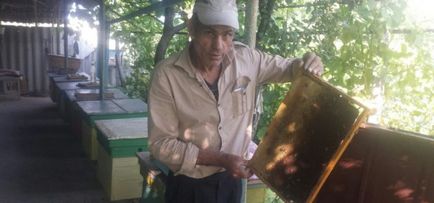 Михайло Дарадур бджільництво як наркотик - якщо воно затягнуло, вже не перестанеш цим займатися