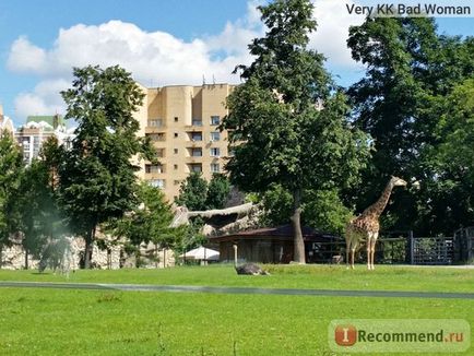 Grădina zoologică din Moscova, Moscova - 