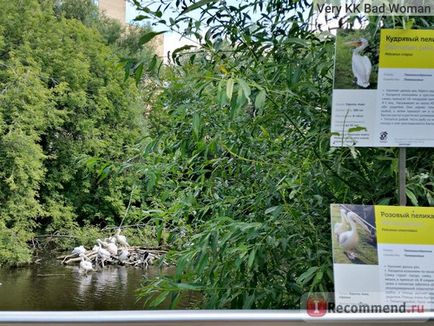 Grădina zoologică din Moscova, Moscova - 