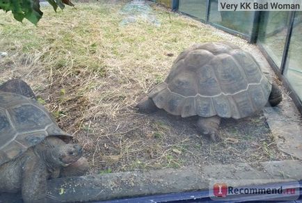 Grădina zoologică din Moscova, Moscova - 