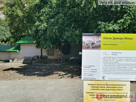 Grădina zoologică din Moscova, Moscova - 