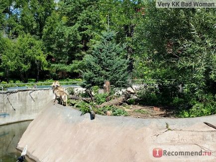 Grădina zoologică din Moscova, Moscova - 